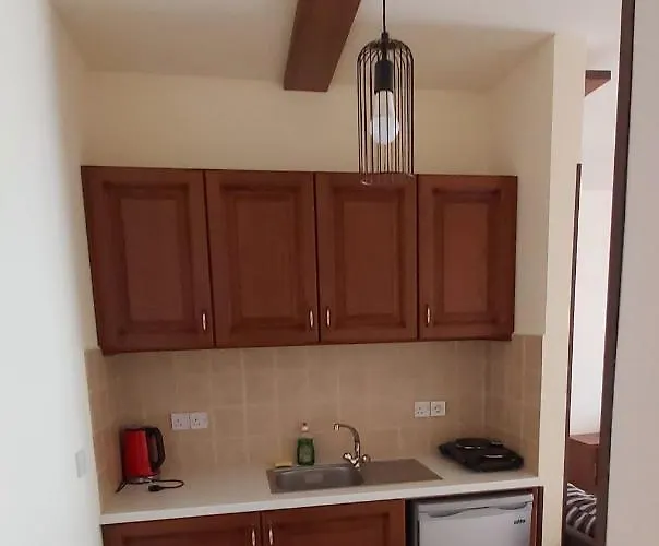 公寓 拉基斯庭院公寓 *